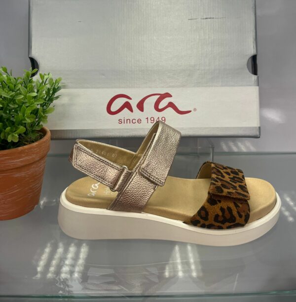 Ara Sand Leopard print Sandal